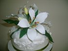 Wedding Cakes in Dundee