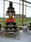 Wedding Cakes in Fife